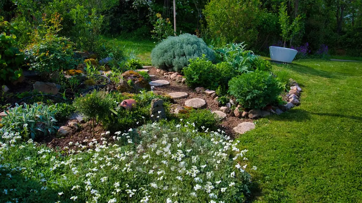 Économiser l'eau au jardin : arroser moins mais mieux