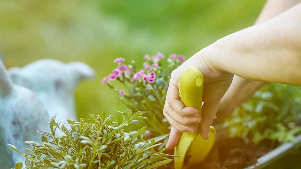 Jardiner avec les enfants : conseils pratiques et cultures faciles