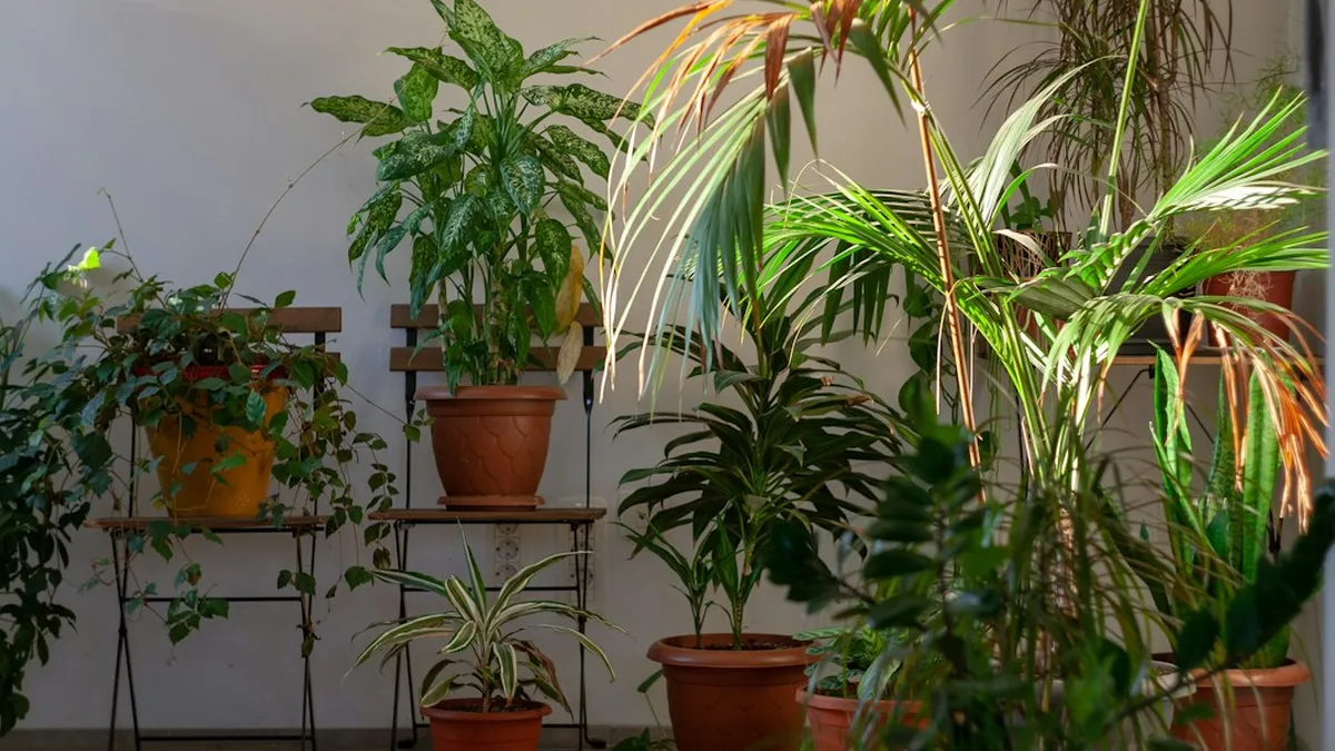 Ce qui coince concrètement à la maison
